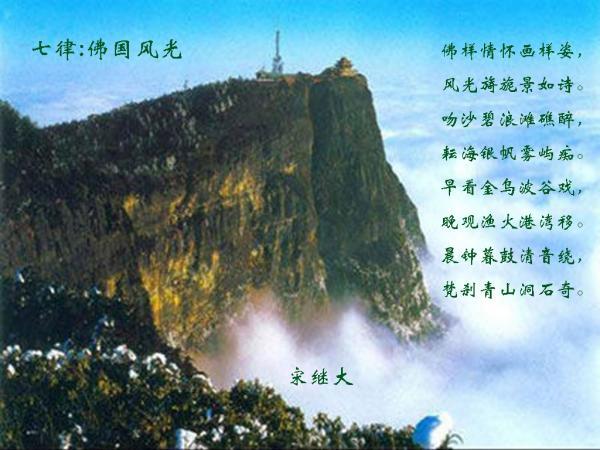 苏菲亚安伯时装秀